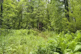 5080 Tower Rd, Moose Lake, MN 55767 - Photo 43