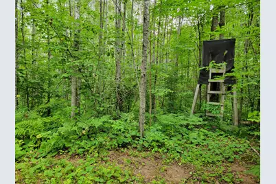 Tbd Woodbury Drive, Wright, MN 55798 - Photo 25