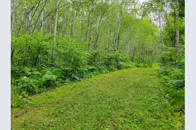Tbd Woodbury Drive, Wright, MN 55798 - Photo 21