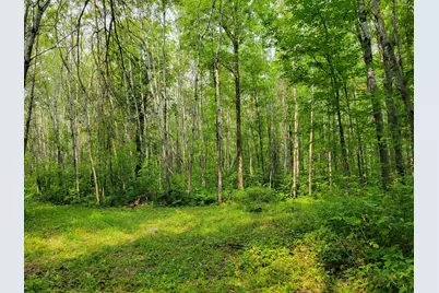 Tbd Woodbury Drive, Wright, MN 55798 - Photo 17