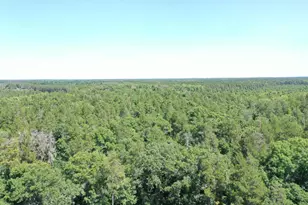 14688 Oeltjen Rd, Grantsburg, WI 54840 - Photo 3