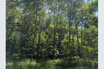 Tbd 221st Avenue, Verndale, MN 56481 - Photo 39