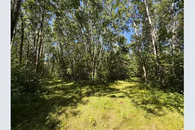 Tbd 221st Avenue, Verndale, MN 56481 - Photo 19