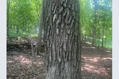 Tbd 190th Street, Centuria, WI 54824 - Photo 9