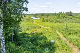 7603 Levander Rd, Embarrass, MN 55732 - Photo 33