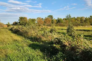 2051 120th St, Balaton, MN 56115 - Photo 39