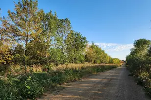 2051 120th St, Balaton, MN 56115 - Photo 33