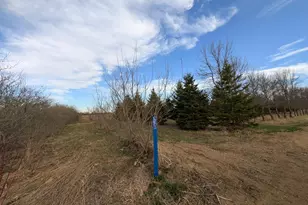 2051 120th St, Balaton, MN 56115 - Photo 35