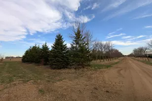 2051 120th St, Balaton, MN 56115 - Photo 49
