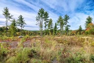 9014 Ban Lake Spur N, Orr, MN 55771 - Photo 29