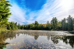 9014 Ban Lake Spur N, Orr, MN 55771 - Photo 23