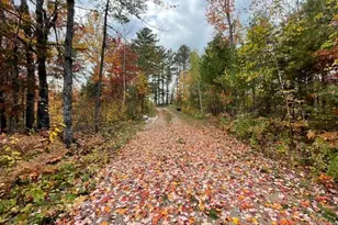 9014 Ban Lake Spur N, Orr, MN 55771 - Photo 5