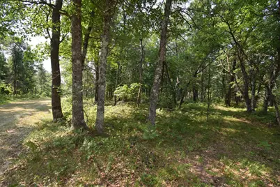 Lot 3 South Point Trail, Danbury, WI 54830 - Photo 17