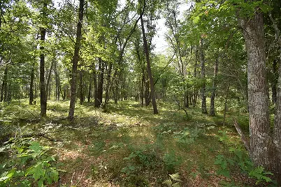 Lot 5 South Point Trail, Danbury, WI 54830 - Photo 7