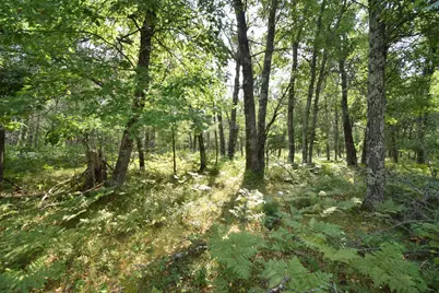 Lot 5 South Point Trail, Danbury, WI 54830 - Photo 3