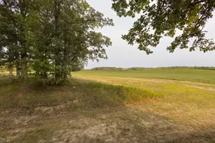 17231 330 Ave, Frazee, MN 56544 - Photo 47