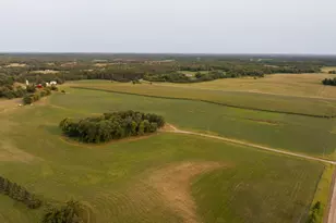 17231 330 Ave, Frazee, MN 56544 - Photo 37