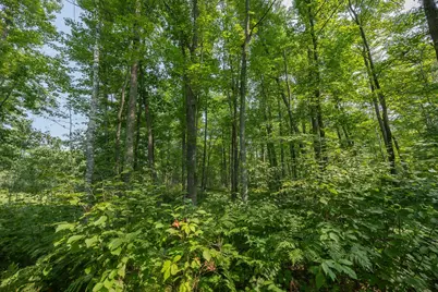 1089 8th Street NE, Pine River, MN 56474 - Photo 77