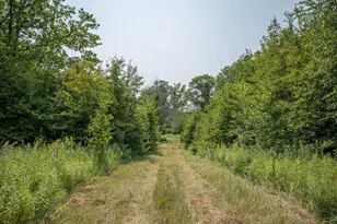 1089 8th St NE, Pine River, MN 56474 - Photo 89