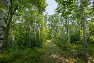 1089 8th Street NE, Pine River, MN 56474 - Photo 79