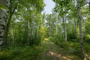 1089 8th St NE, Pine River, MN 56474 - Photo 79