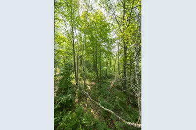 1089 8th Street NE, Pine River, MN 56474 - Photo 81