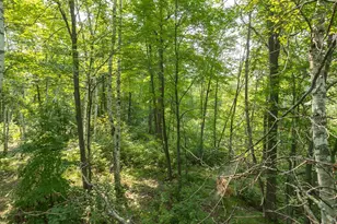 1089 8th St NE, Pine River, MN 56474 - Photo 81