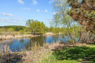 15366 60th Ave N, Plymouth, MN 55446 - Photo 33