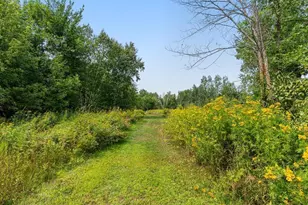 6847 Thesing Rd, Brainerd, MN 56401 - Photo 53