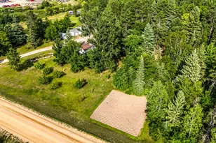 50768 279th Ave, Bemidji, MN 56601 - Photo 51