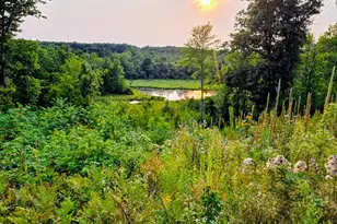 N1335 Pine Grove Rd, Sarona, WI 54870 - Photo 47