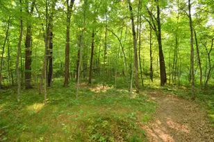 25707 Smith Rd, Webster, WI 54893 - Photo 47