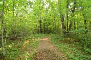 25707 Smith Rd, Webster, WI 54893 - Photo 53