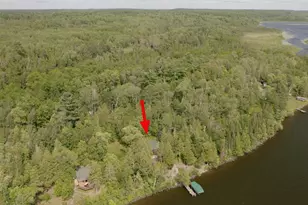 5250 Mud Creek Rd, Ely, MN 55731 - Photo 21