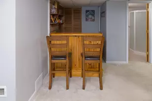 503 Chan View, Chanhassen, MN 55317 - Photo 9