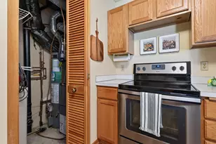 493 Marshland Trail, Chanhassen, MN 55317 - Photo 15