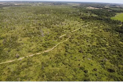 Tbd 580th Street, Deer Creek, MN 56527 - Photo 29