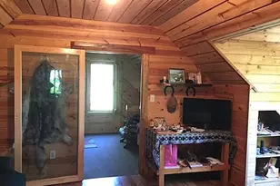 Tbd Lynx Island, International Falls, MN 56649 - Photo 5