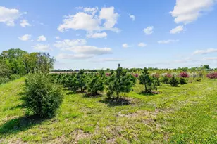 22901 Oakdale Dr, Corcoran, MN 55374 - Photo 35