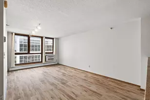 433 S 7th St, Minneapolis, MN 55415 - Photo 3