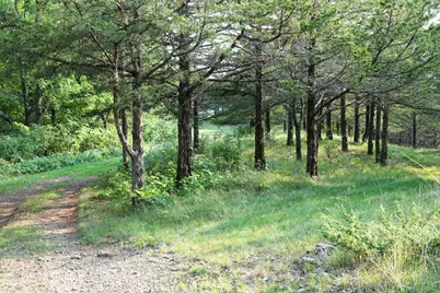 17674 County 11, Spring Grove, MN 55974 - Photo 47