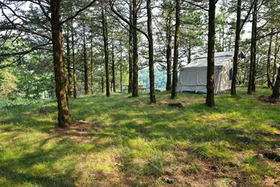 17674 County 11, Spring Grove, MN 55974 - Photo 43