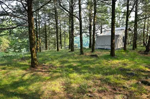 17674 County 11, Spring Grove, MN 55974 - Photo 43