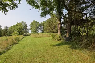 17674 County 11, Spring Grove, MN 55974 - Photo 51
