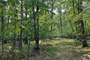 81871 Schoumaker Rd, Willow River, MN 55795 - Photo 1