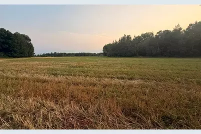 Tbd 63rd Street, Hillman, MN 56338 - Photo 19