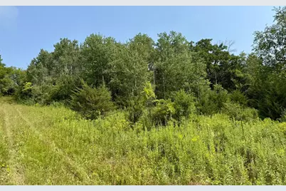 15Xxx Welch Short Cut Path, Welch Township, MN 55089 - Photo 11