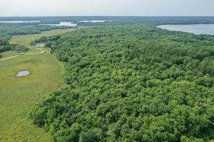 4452 Boone Point Rd NW, Hackensack, MN 56452 - Photo 3