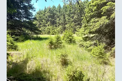 Tbd- Parcel C Sleepy Hollow Road, Brainerd, MN 56401 - Photo 3