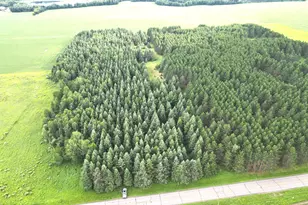 Tbd- Parcel D Sleepy Hollow Rd, Brainerd, MN 56401 - Photo 1